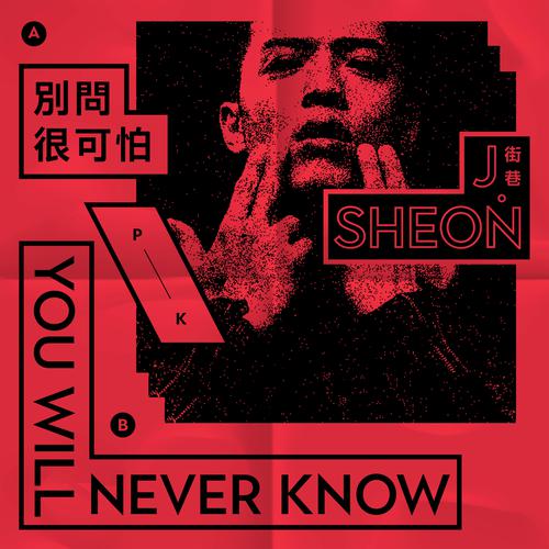 j. sheon – you'll never know / 别问很可怕