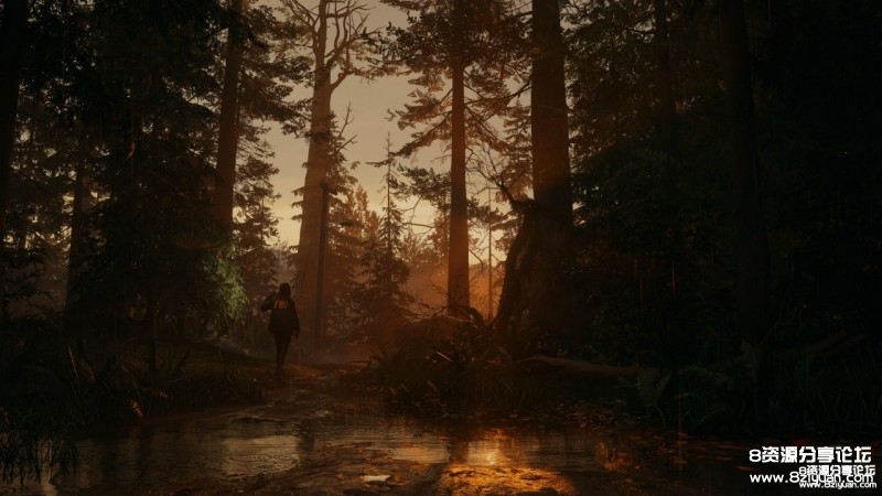 《心灵杀手2(alan wake 2 deluxe edition)》v1.0.16 dlcs官方中文版[... (3).jpg